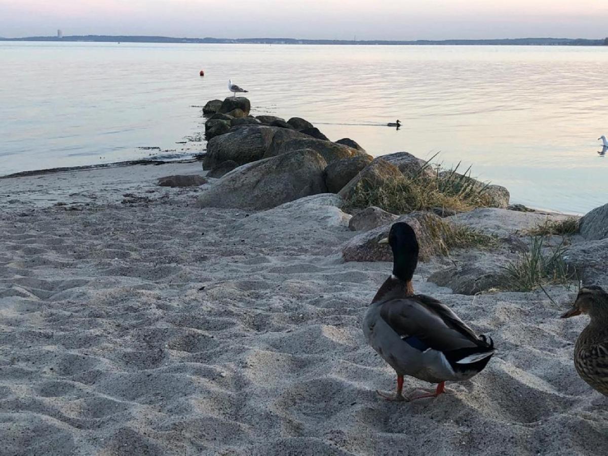 Ostseecamp Luebecker Bucht Casa Del Mar Mit Kostenfreier Saunanutzung Scharbeutz Buitenkant foto